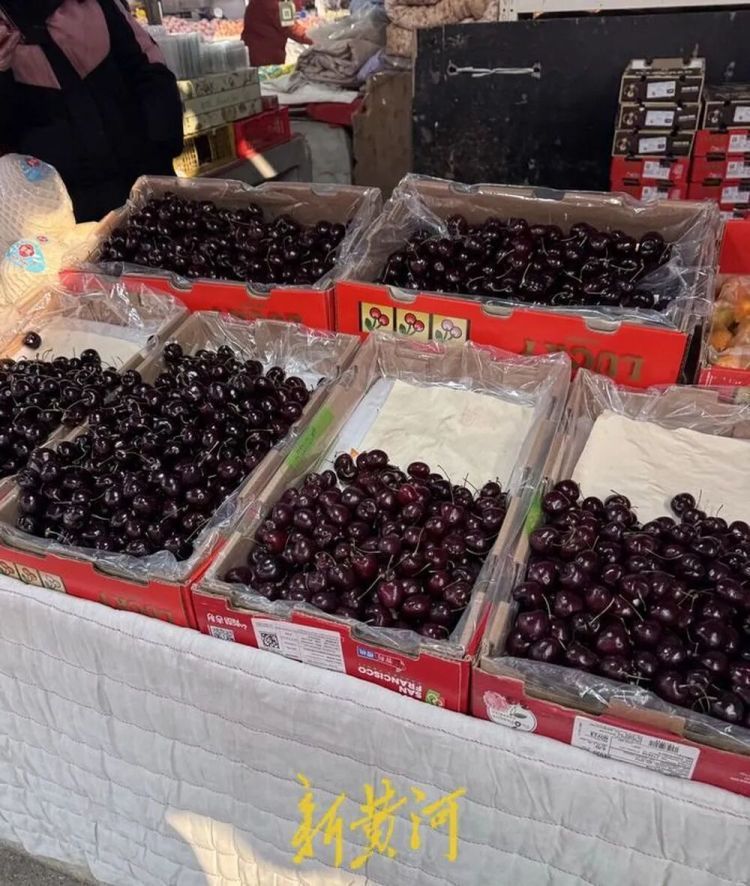 车厘子价格“大跳水”，济南市场销量翻番：5斤装低至129元