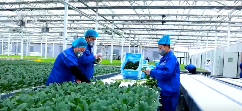 新需求、新供给“绿”意盎然 多部门协同创新政策“组合拳”为绿色消费添动力 新需求、新供给“绿”意盎然 多部门协同创新政策“组合拳”为绿色消费添动力