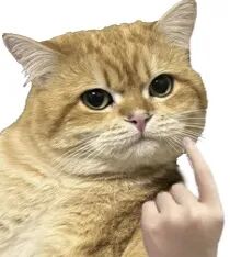 “这年头,最经常被我爽约的人……竟是我自己?!” “这年头,最经常被我爽约的人……竟是我自己?!”