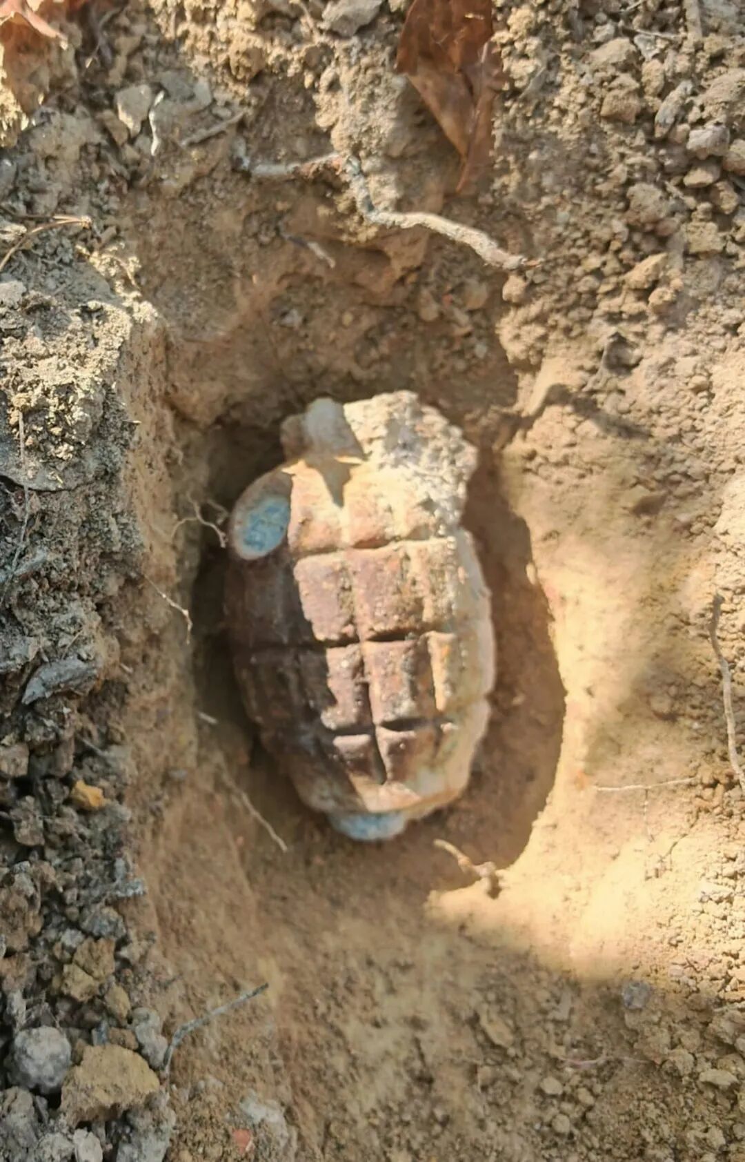 香港郊野公园发现战时手榴弹,警方到场处理 香港郊野公园发现战时手榴弹,警方到场处理