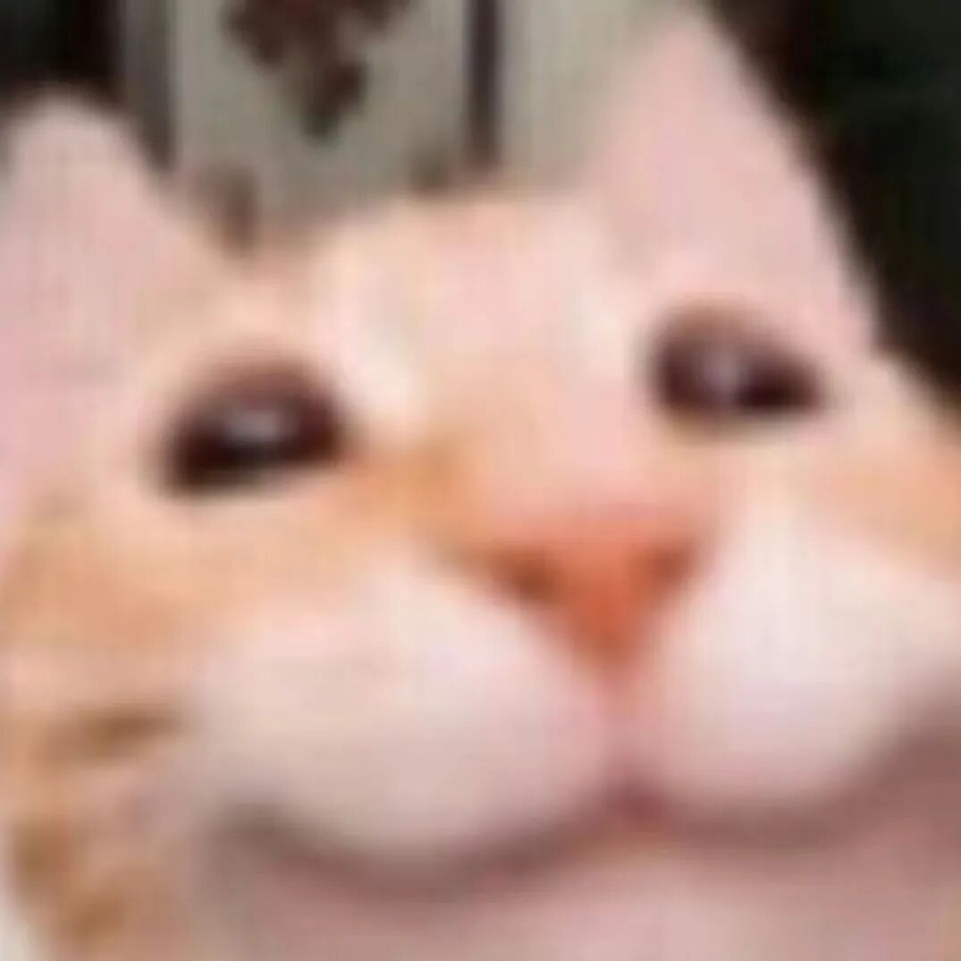 “这年头,最经常被我爽约的人……竟是我自己?!” “这年头,最经常被我爽约的人……竟是我自己?!”