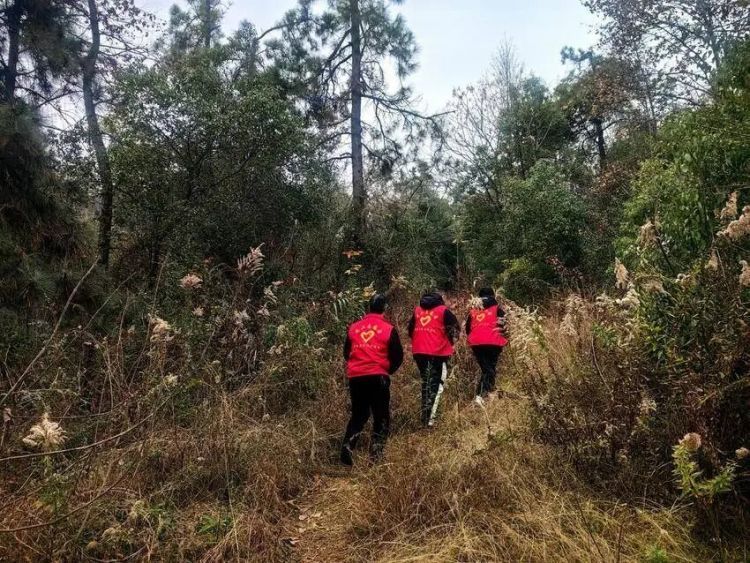 失联两天两夜！警民百人接力，深山寻回走失女子