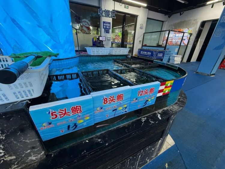 “山珍海味”鲍鱼跌至“10元3只”，厂商日发货三四十吨：价格变低，营收反增近2倍