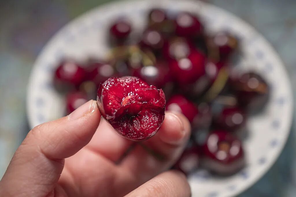 今年车厘子大降价，广东正大批上市