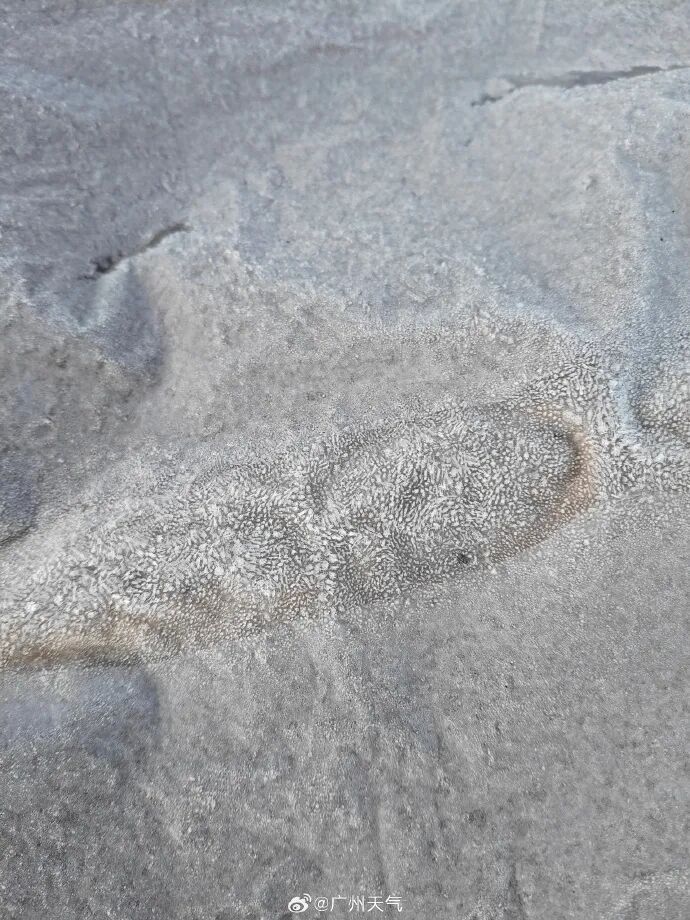 广州明天最低5℃,升温时间确定 广州明天最低5℃,升温时间确定