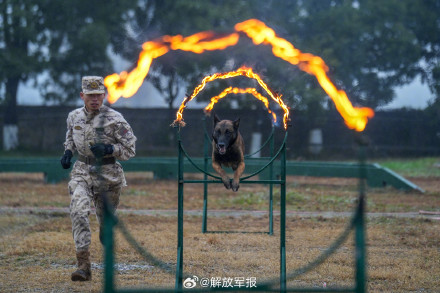 直击武警官兵练兵现场