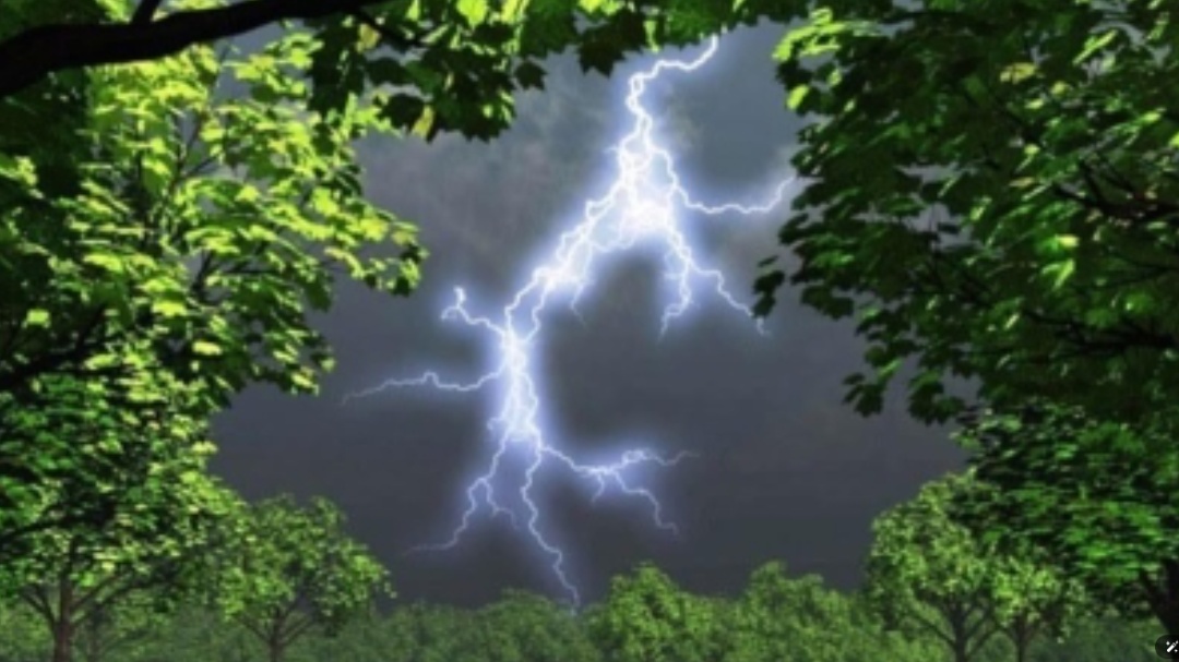 卢旺达突发雷击事件,9人当场死亡!当地为何频遭雷击之痛? 卢旺达突发雷击事件,9人当场死亡!当地为何频遭雷击之痛?