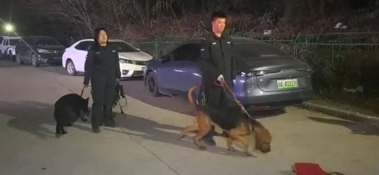 失联两天两夜！警民百人接力，深山寻回走失女子