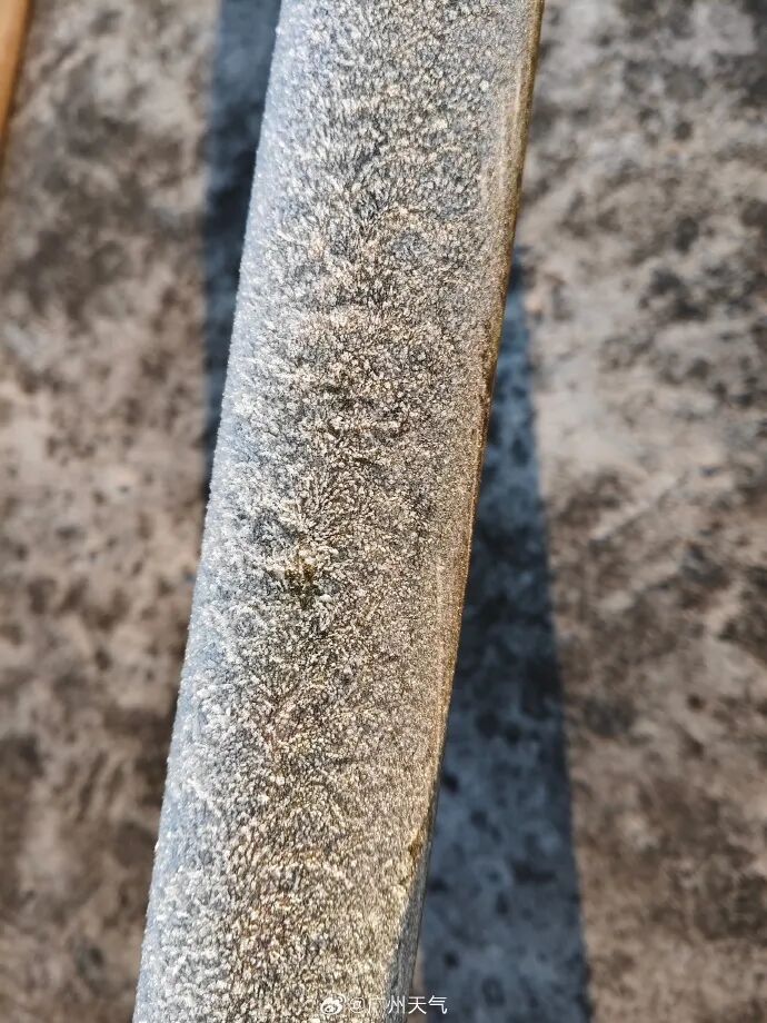 广州明天最低5℃,升温时间确定 广州明天最低5℃,升温时间确定