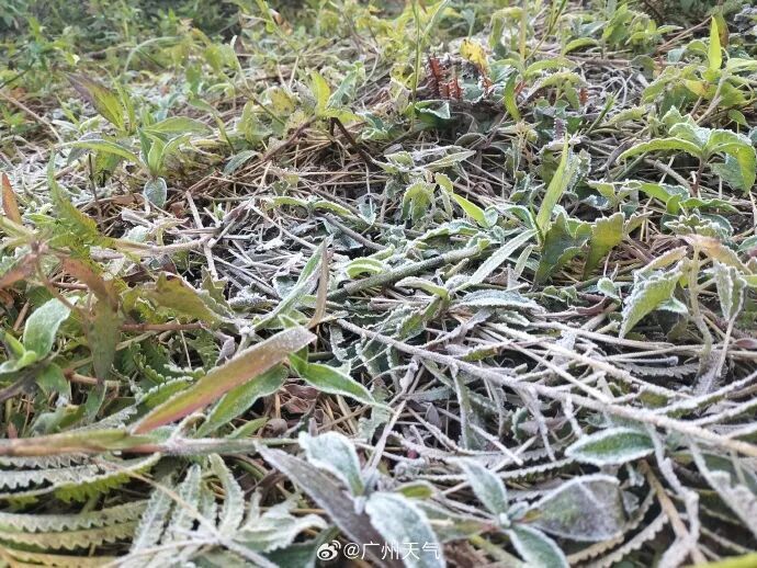 广州明天最低5℃,升温时间确定 广州明天最低5℃,升温时间确定