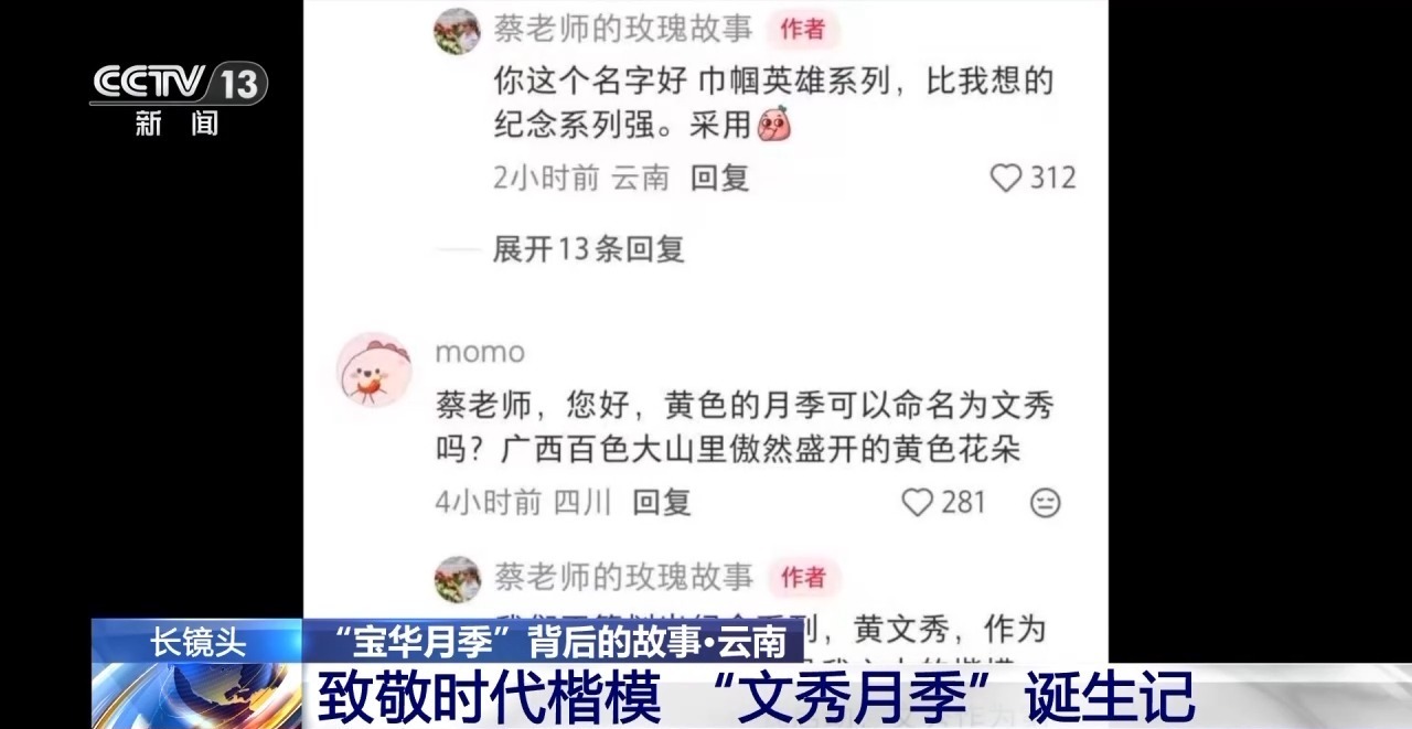 征名破圈 国产月季走出自己的“命名美学”