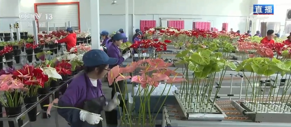 人气旺、消费火，热气腾腾！各地市场活跃繁荣 “年经济”释放“新”热度