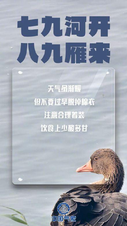 数九寒天哪个九最冷