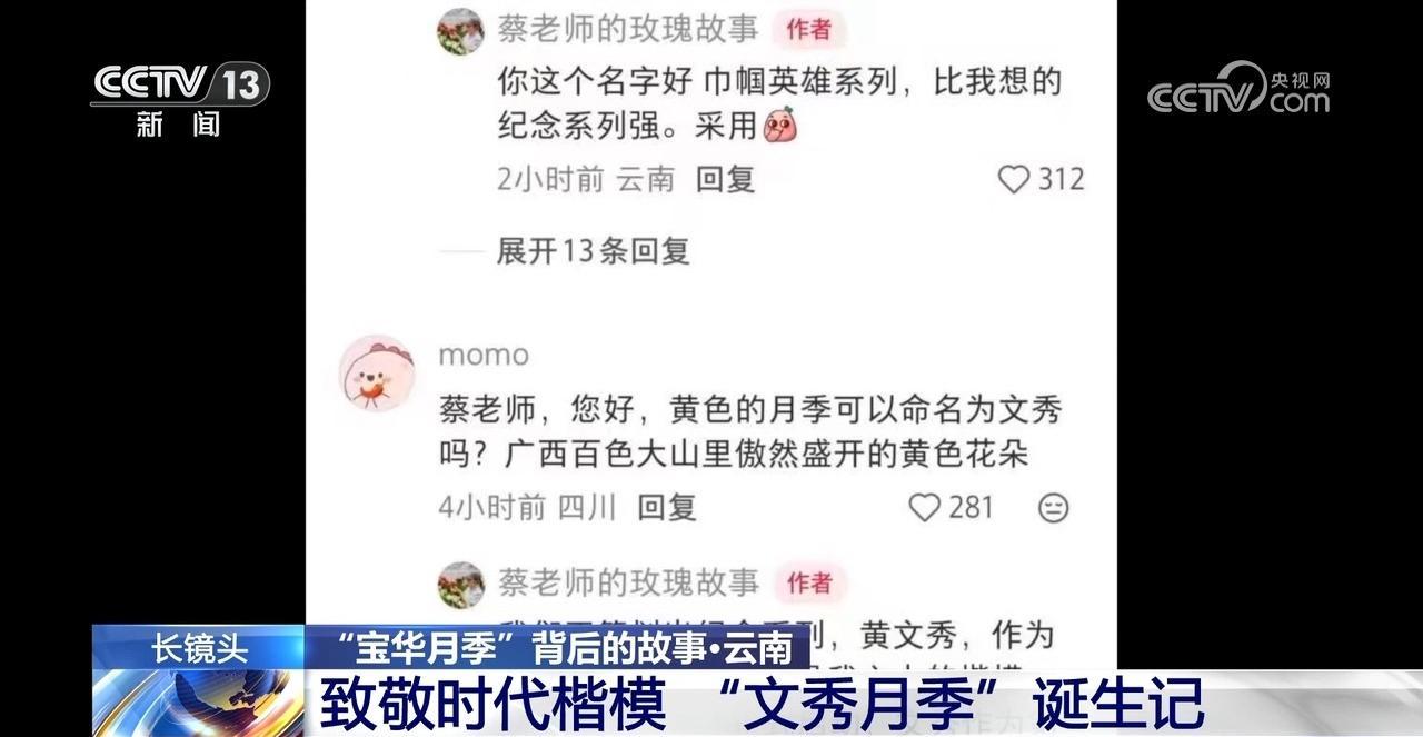 “宝华月季”背后 是“中国芯”月季的飞速进展