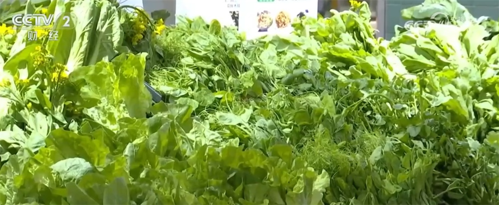 居民“菜篮子”持续上新供应足 新年消费市场红红火火“热气腾腾”