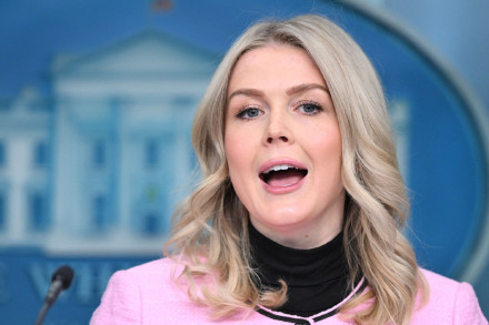 白宫：特朗普正“积极”考虑购买格陵兰岛