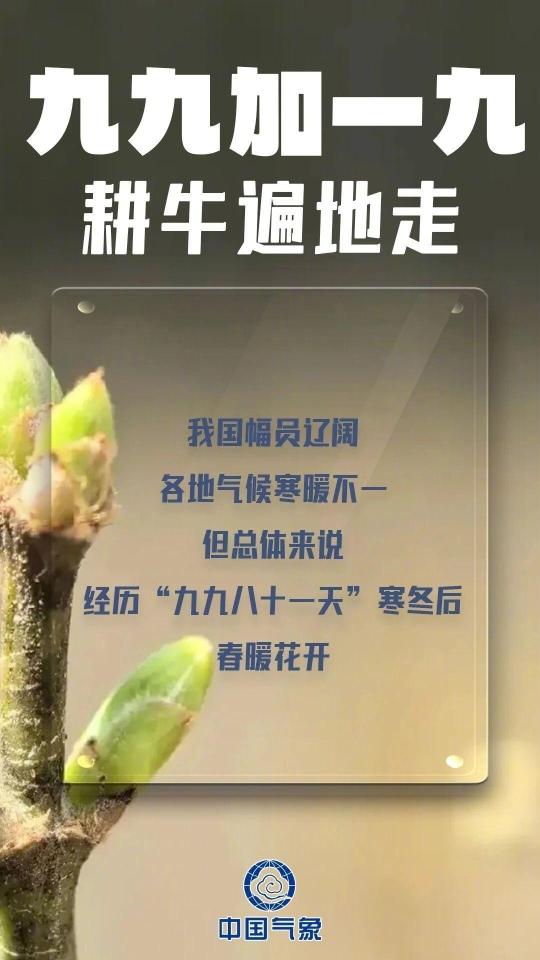 数九寒天哪个九最冷？今天我们正式进入“三九”