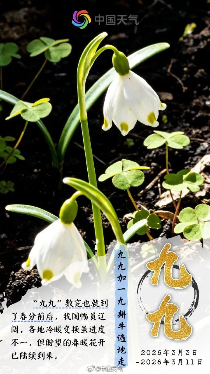 今起进入最冷三九天！