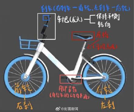 研究生教人骑车两年赚27万 当事人:市场需求大 研究生教人骑车两年赚27万 当事人:市场需求大