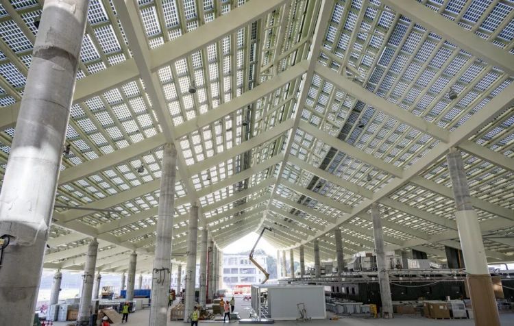 “刷马脸”3秒识别!广州海关首创“马脸识别技术”,准确率高达99% “刷马脸”3秒识别!广州海关首创“马脸识别技术”,准确率高达99%