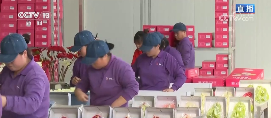 人气旺、消费火，热气腾腾！各地市场活跃繁荣 “年经济”释放“新”热度