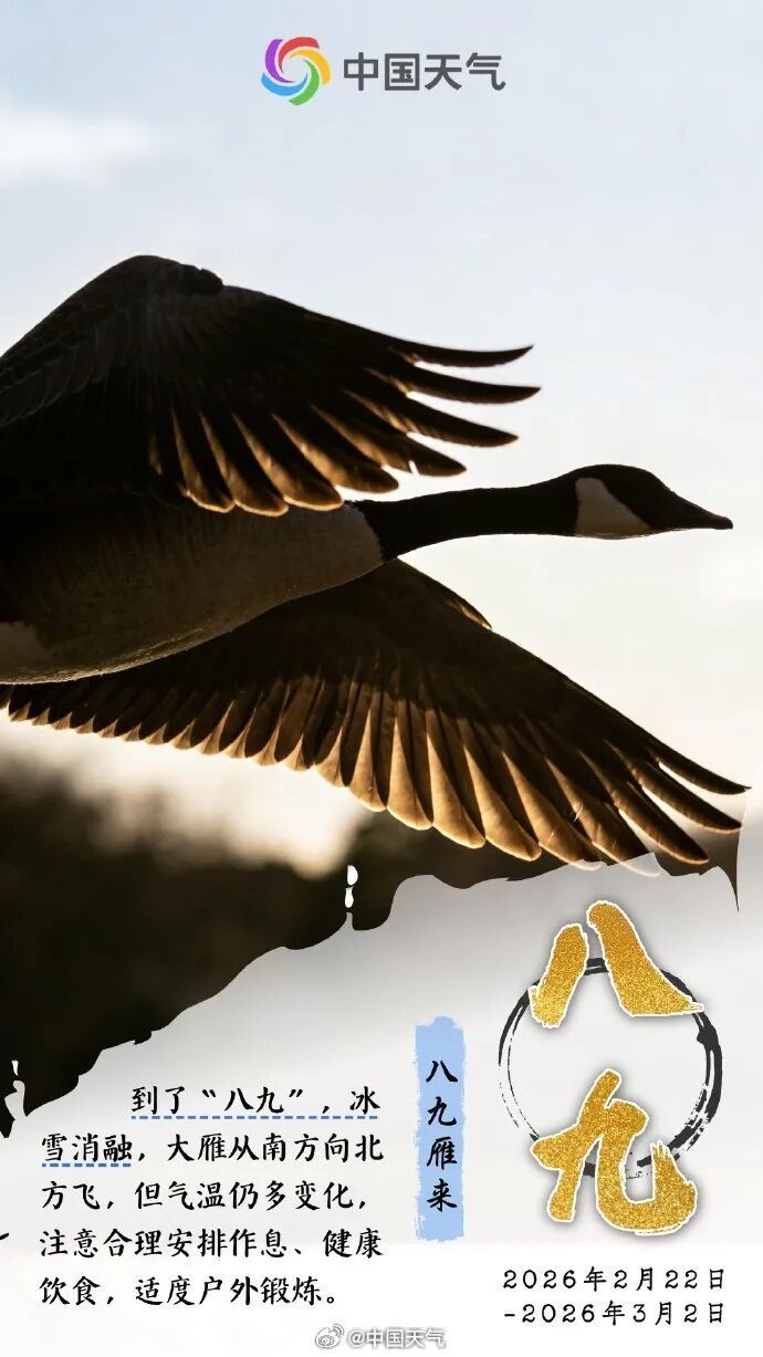 今起进入最冷三九天！