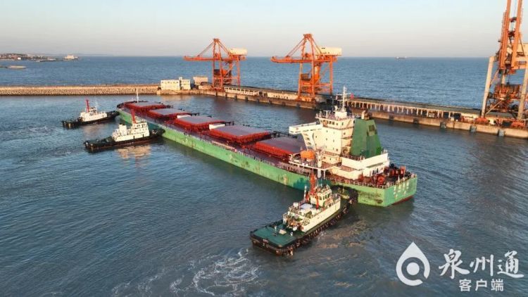 稀缺如大熊猫！有一种职业，全国持证者仅约2500人