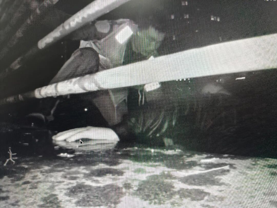 凌晨1点半,杭州民警河中救起2名男子 凌晨1点半,杭州民警河中救起2名男子