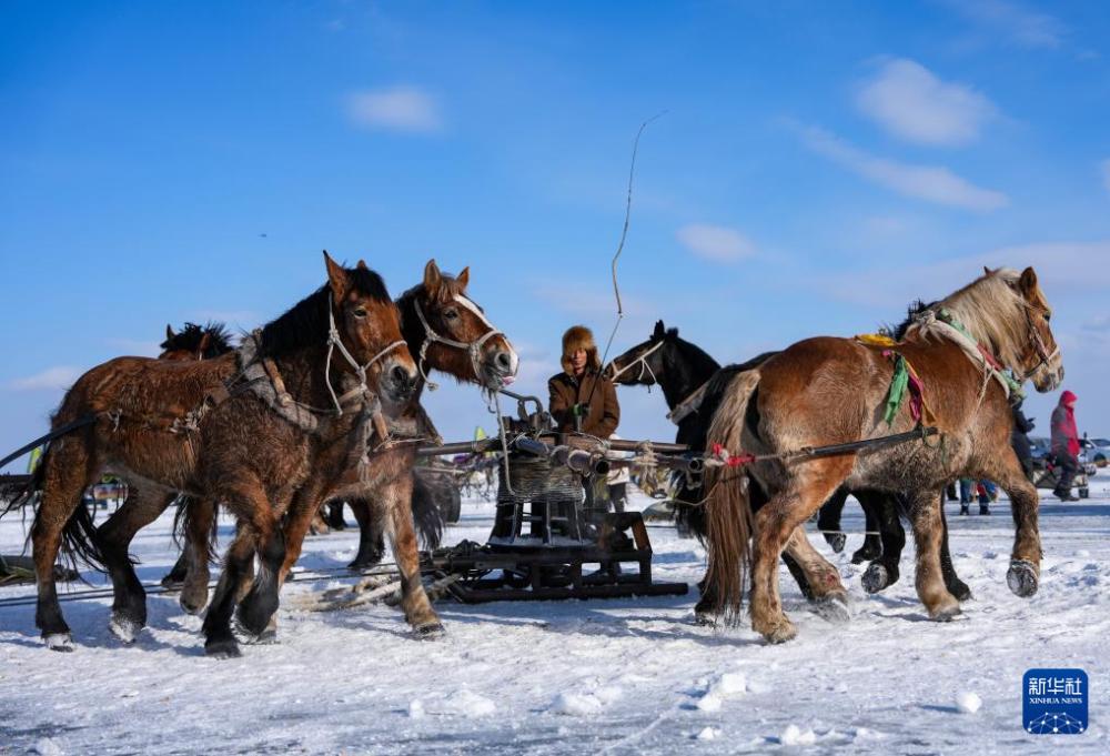 冰湖腾鱼 在查干湖感受冬捕魅力