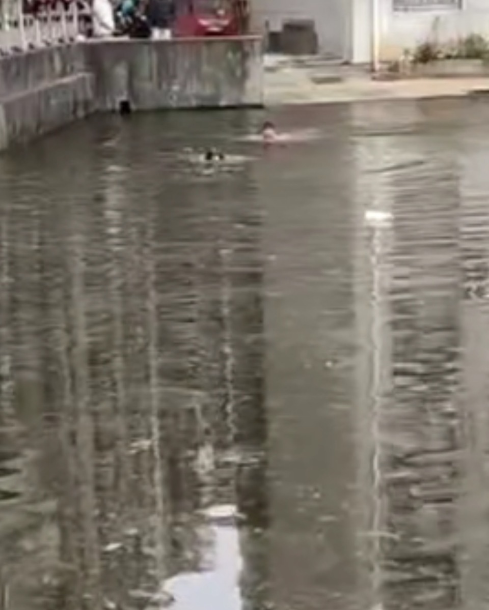 小伙跨年夜跳水救男童，湖南母校发文表扬！当事人：脑子里只有一个想法就是把人救上来