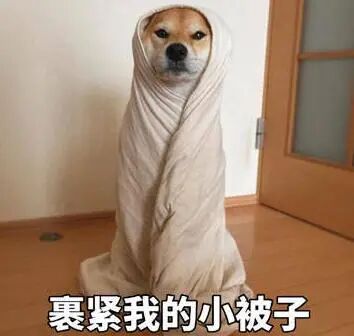 局地阵风10级以上！北京要降温了！最高气温降至冰点，预计时间→