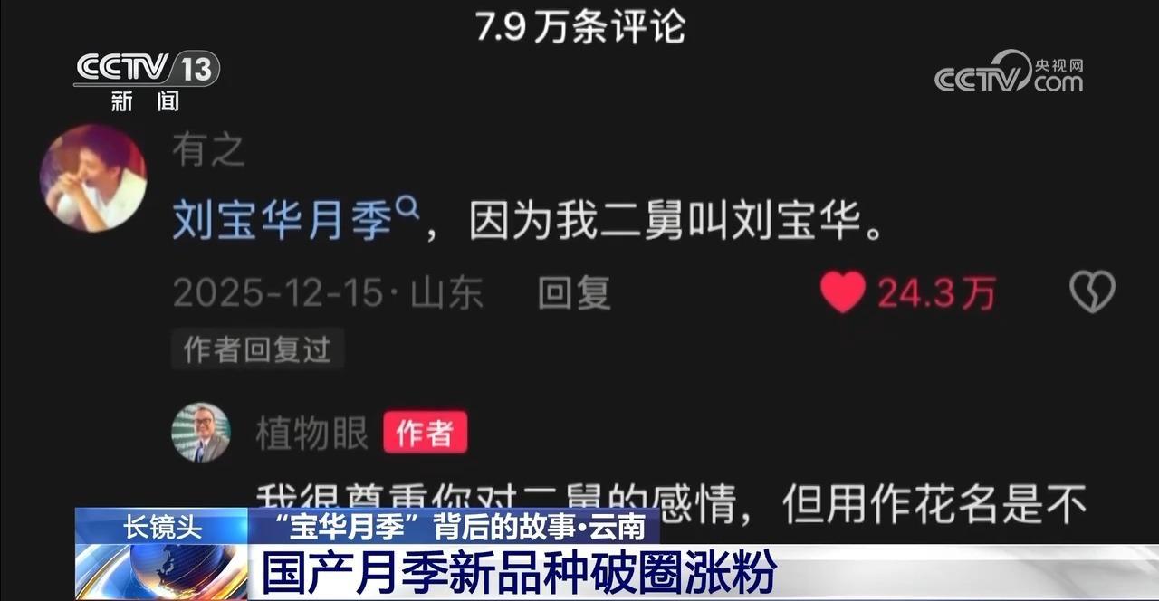 “宝华月季”背后 是“中国芯”月季的飞速进展