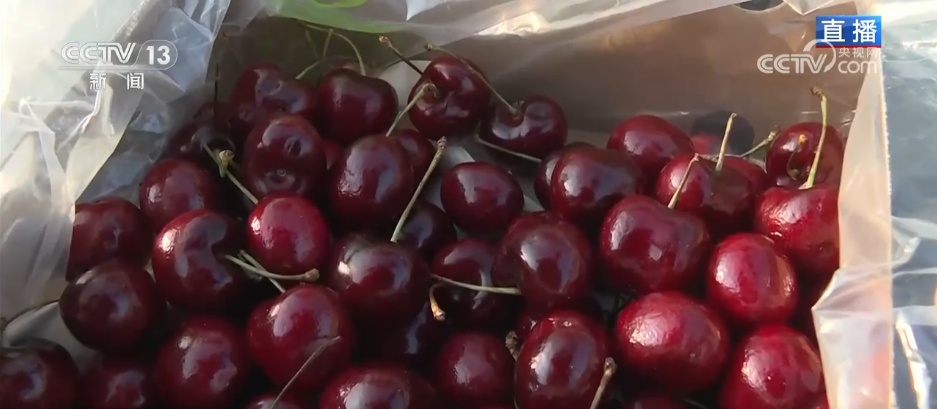 人气旺、消费火，热气腾腾！各地市场活跃繁荣 “年经济”释放“新”热度