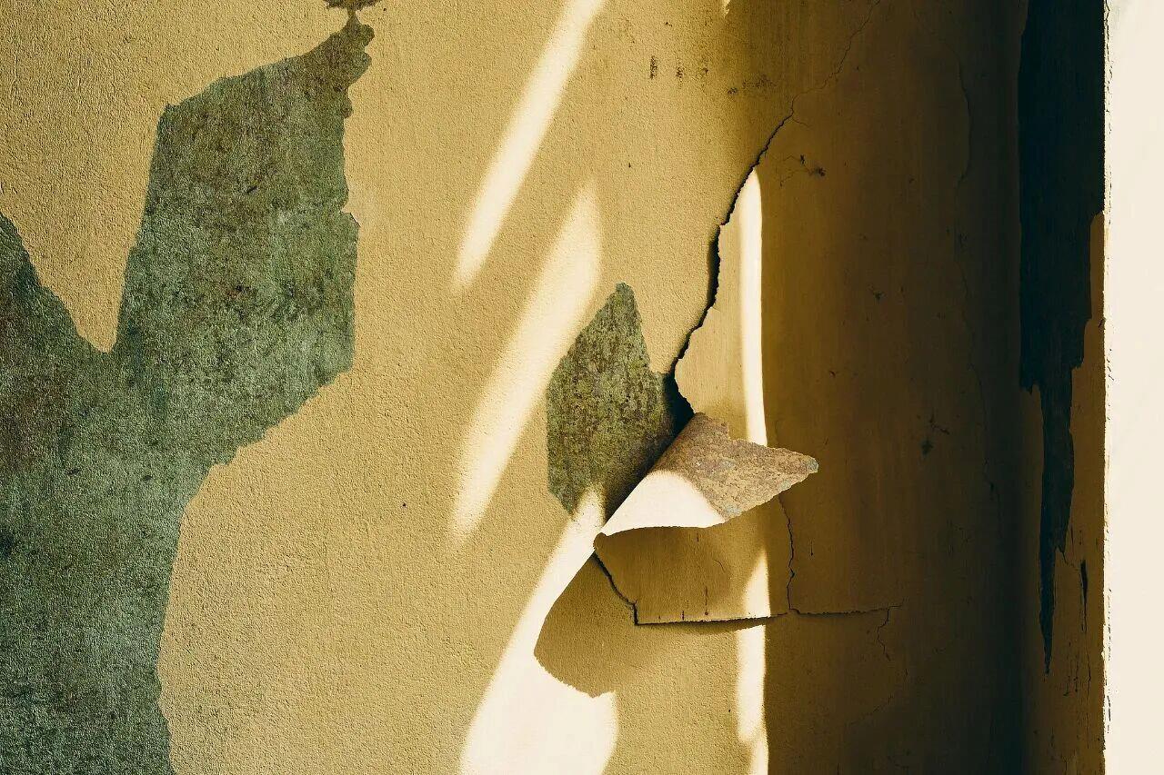 楼上频繁将猫砂等物品冲入厕所 楼下反水受损 法院这样判→