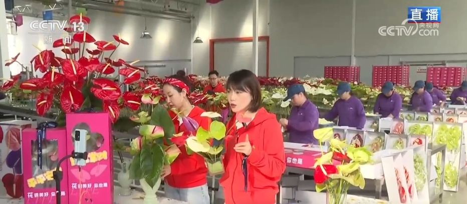 人气旺、消费火，热气腾腾！各地市场活跃繁荣 “年经济”释放“新”热度