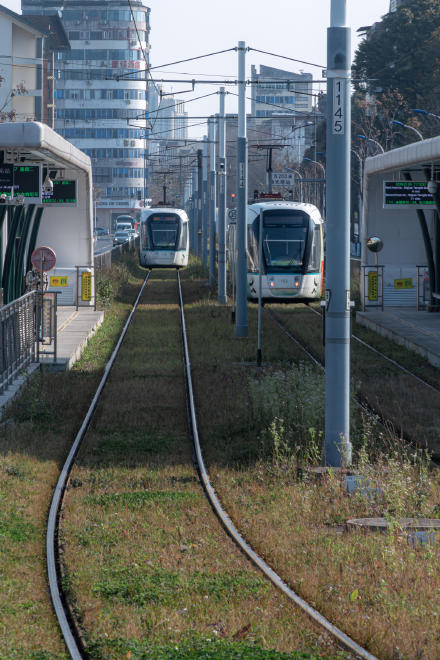 成都独一份!这趟列车带你看雪山 成都独一份!这趟列车带你看雪山