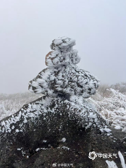 广西姑婆山雾凇满枝如遇仙境 玉树披银装️️ 广西姑婆山雾凇满枝如遇仙境 玉树披银装️️