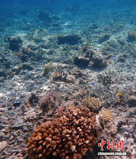 中国科学家领衔国际团队发布最新报告：全球变暖趋势十分明确