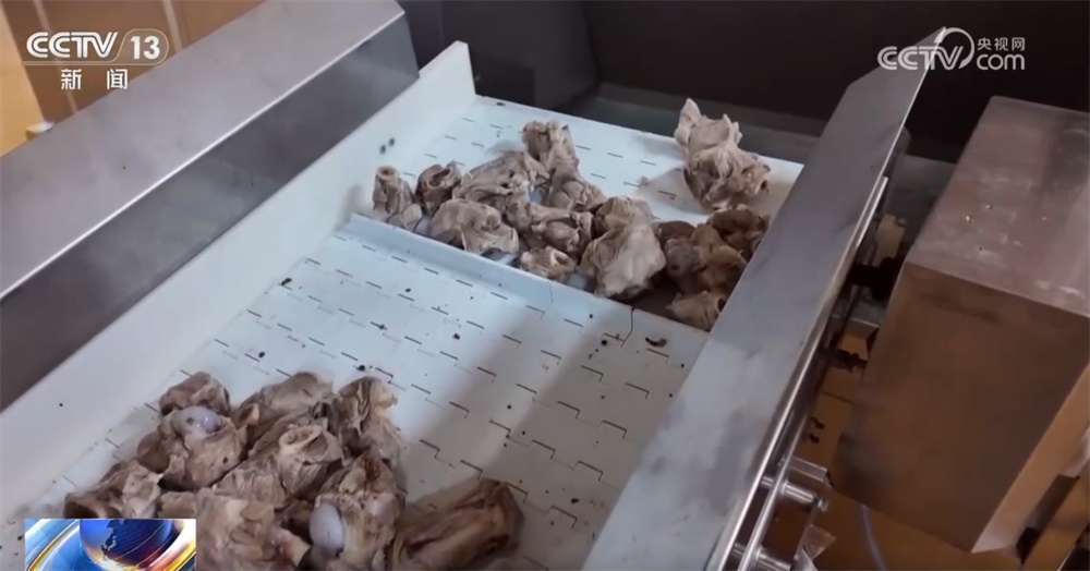 海南自贸港“热火朝天”在“十五五”开好局起好步 政策红利助力“产业+消费”升温