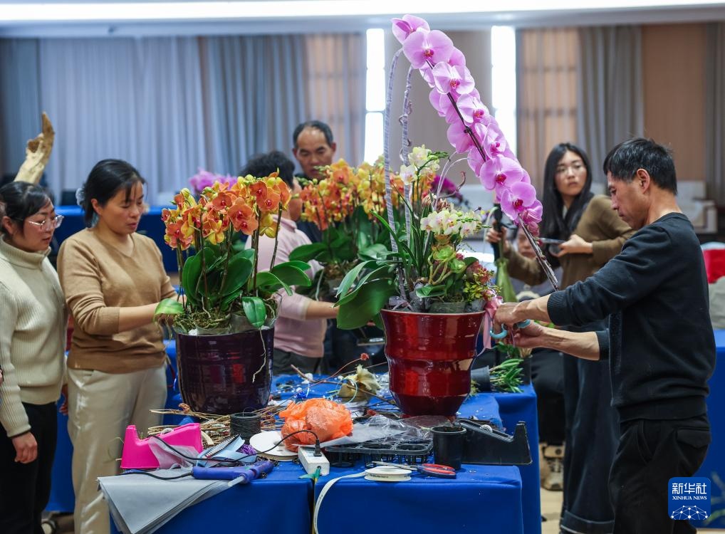 浙江金华：年宵花卉进入销售旺季