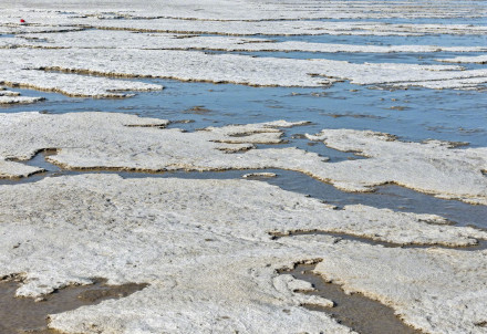 寒潮来袭 连云港出现冰凌潮汐树 寒潮来袭 连云港出现冰凌潮汐树
