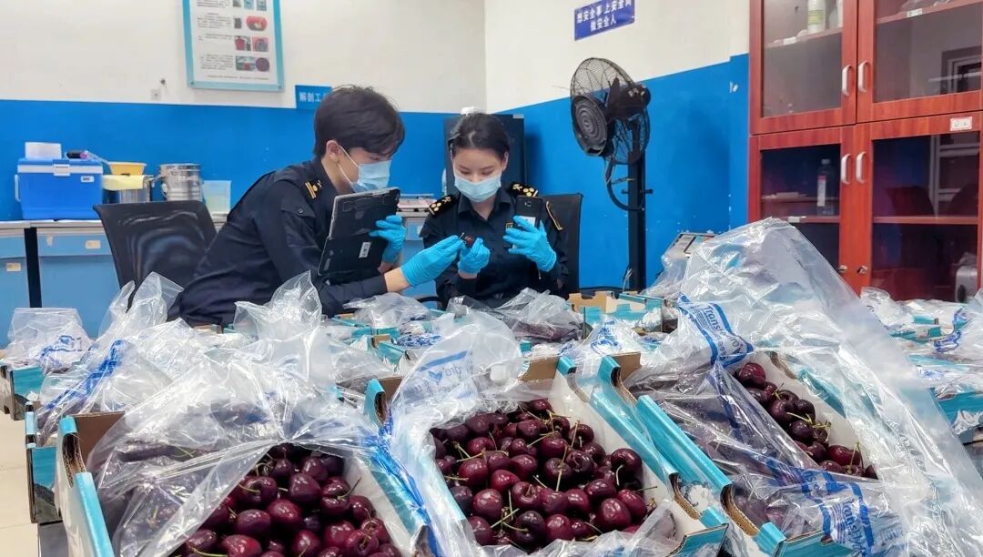 2小时直达，吃货狂喜！广州怎么做到的？