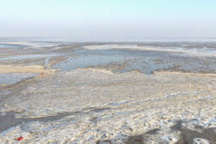 寒潮来袭 连云港出现冰凌潮汐树 寒潮来袭 连云港出现冰凌潮汐树