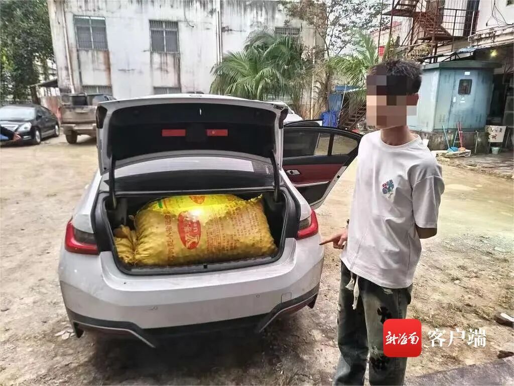小伙半夜开车偷槟榔，还是团伙作案！琼中公安：抓！