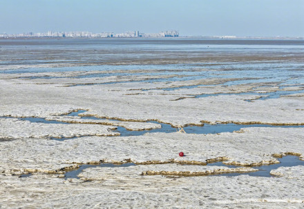 寒潮来袭 连云港出现冰凌潮汐树 寒潮来袭 连云港出现冰凌潮汐树