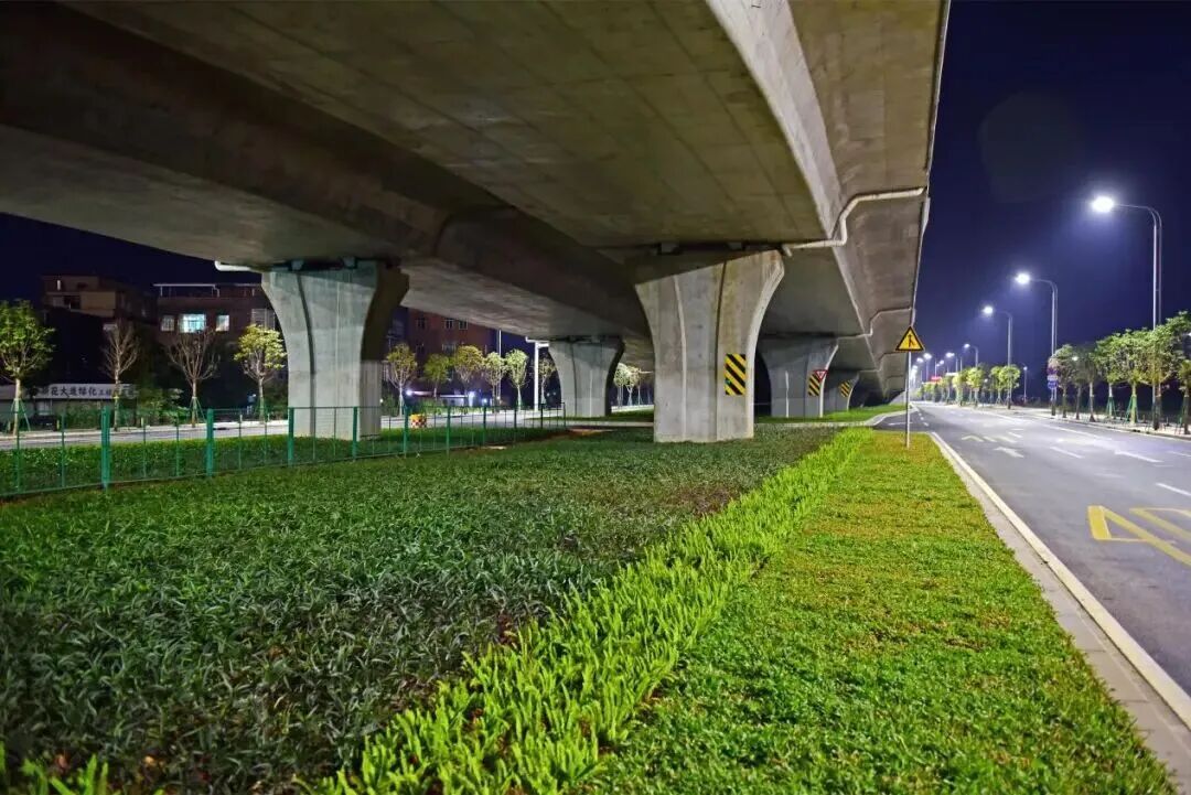 全长约5公里！广州一区“黄金大动脉”正式通车！