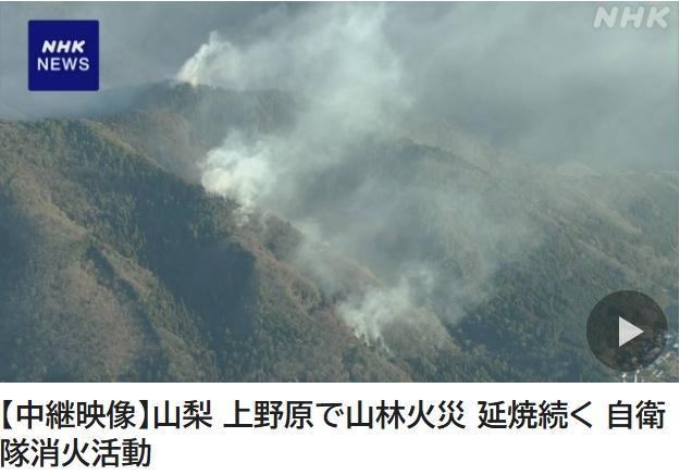 日本山火延烧一天仍未熄灭 当地已发布避难指示 日本山火延烧一天仍未熄灭 当地已发布避难指示