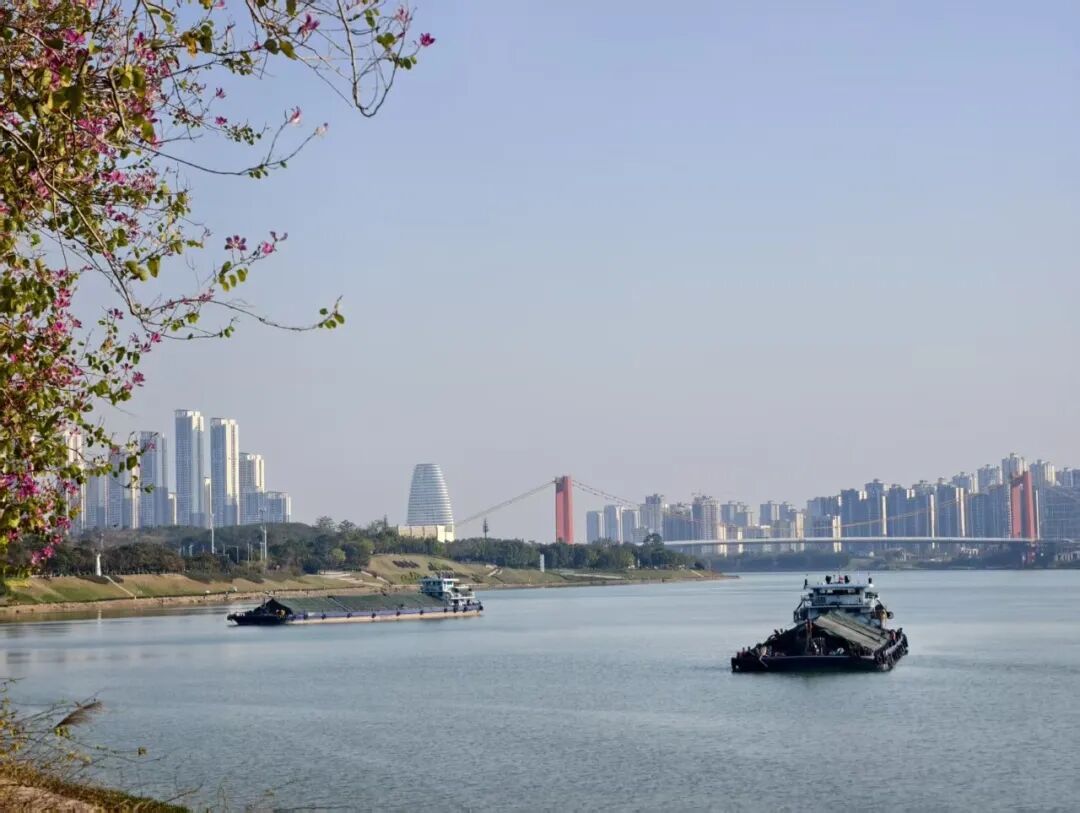 晒腊肉腊肠的,赶紧冲啊!广西晴天持续到…… 晒腊肉腊肠的,赶紧冲啊!广西晴天持续到……