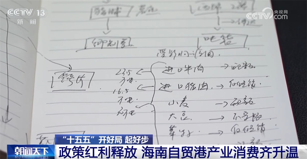 海南自贸港“热火朝天”在“十五五”开好局起好步 政策红利助力“产业+消费”升温