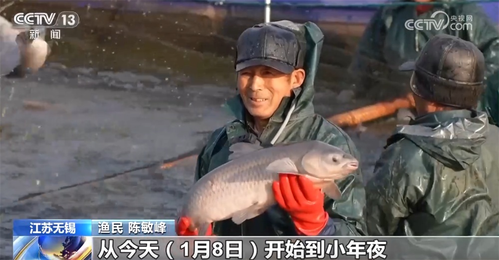 百姓“菜篮子”物丰量足“鲜”味浓 土特产点燃“年货经济”新引擎 百姓“菜篮子”物丰量足“鲜”味浓 土特产点燃“年货经济”新引擎